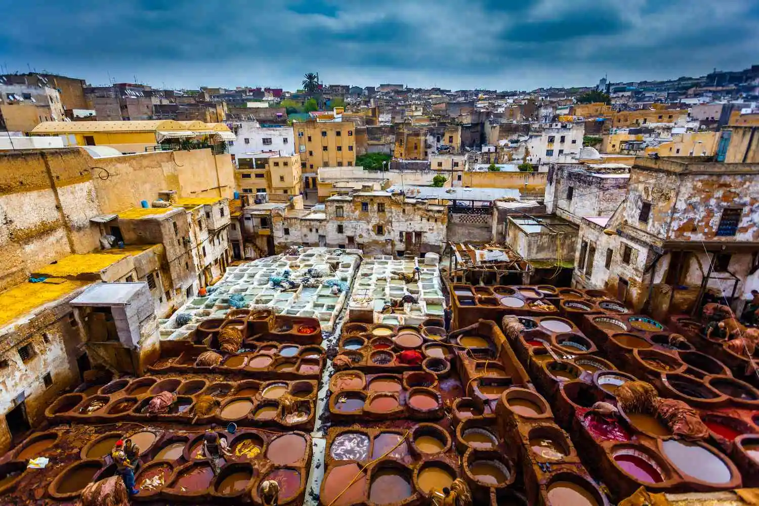 Fez Medina