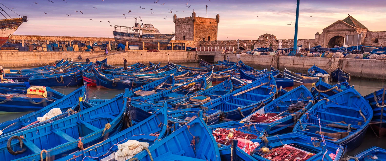 Essaouira mogador