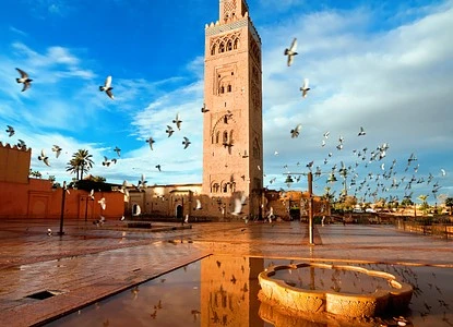 Private Guided Tour in Marrakech: See hidden Gems, old and amazing Monuments